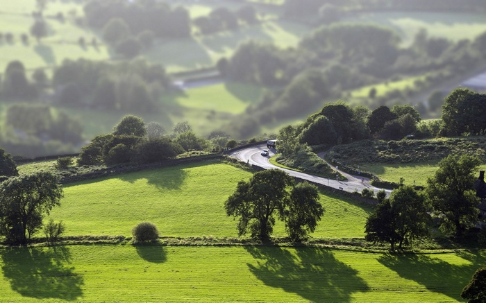 Winding road through green hills with trees and shadows