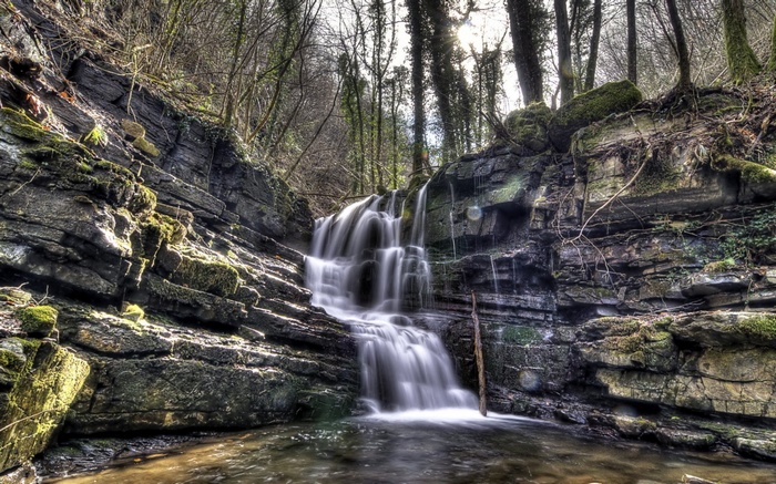 Waterfall cascading over mossy rocks in a forest