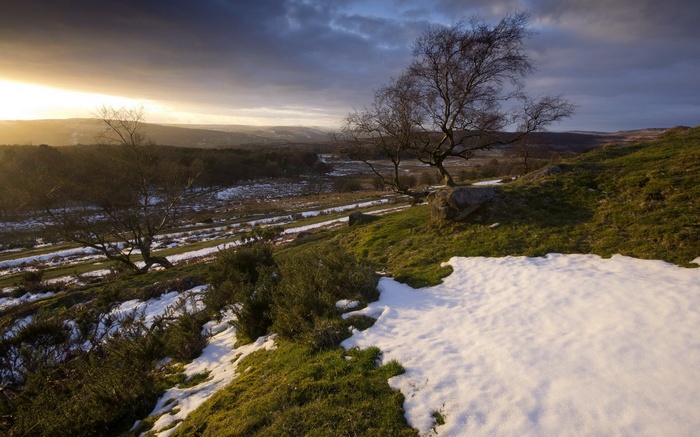Winter landscape with trees and snow