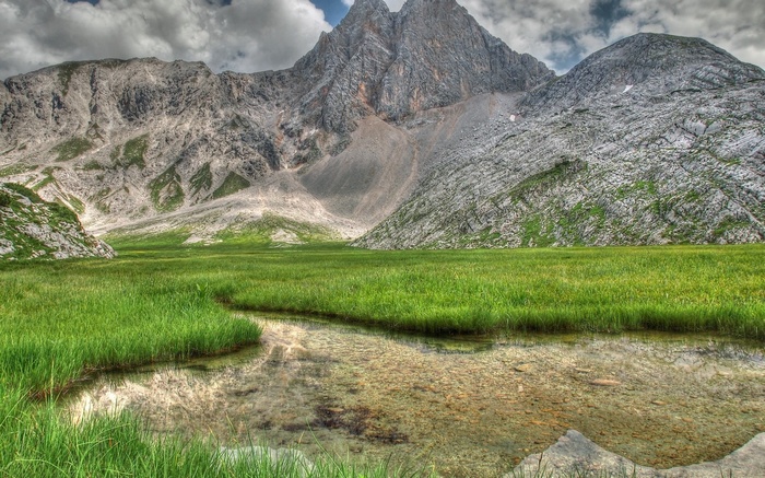 Mountain valley with stream and grassy meadow
