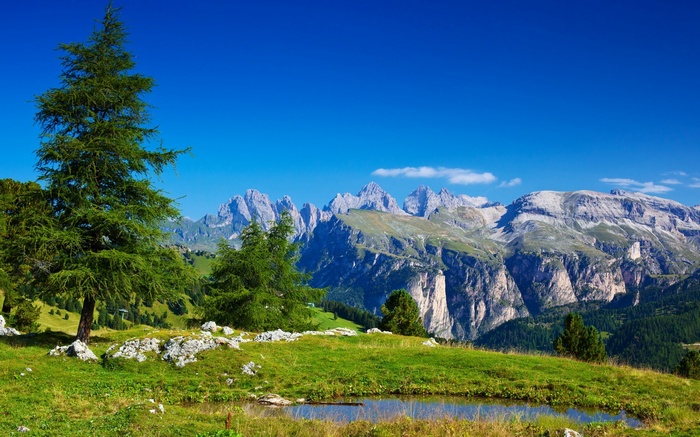Mountain range with trees and a pond