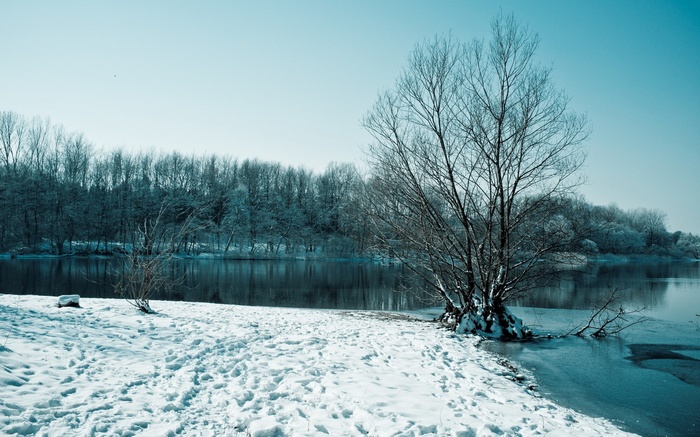 Winter landscape with snow-covered trees and a frozen lake