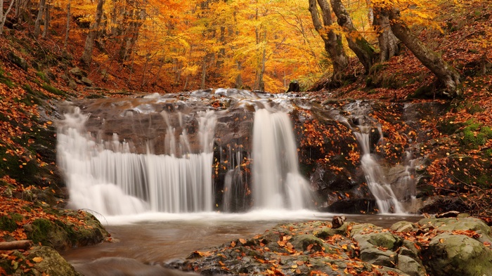 Waterfall in an autumn forest with fallen leaves