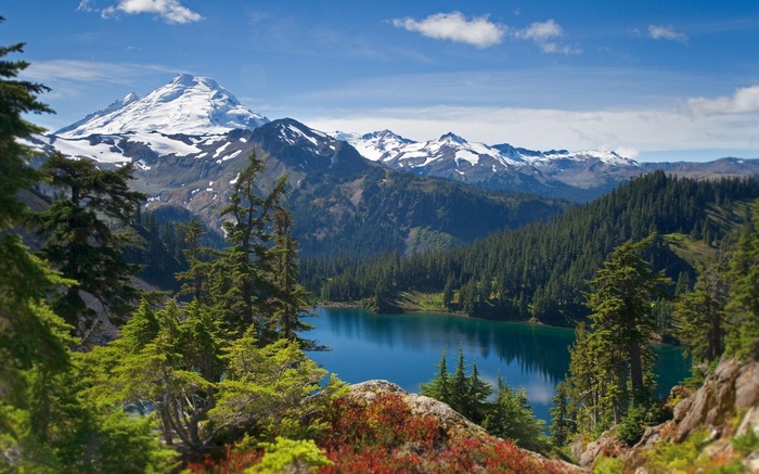 Snow-capped mountain overlooking a forest and lake