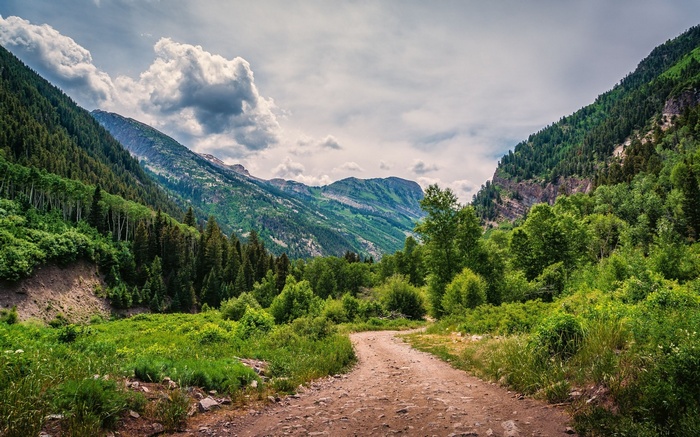 Dirt road through a mountain valley with green trees