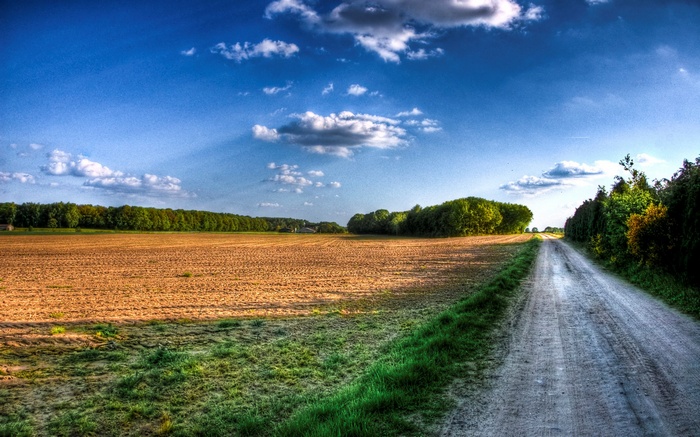 Dirt road through a harvested field under a blue sky