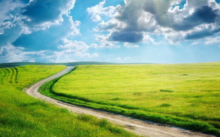 A winding dirt road through a green meadow under a cloudy sky