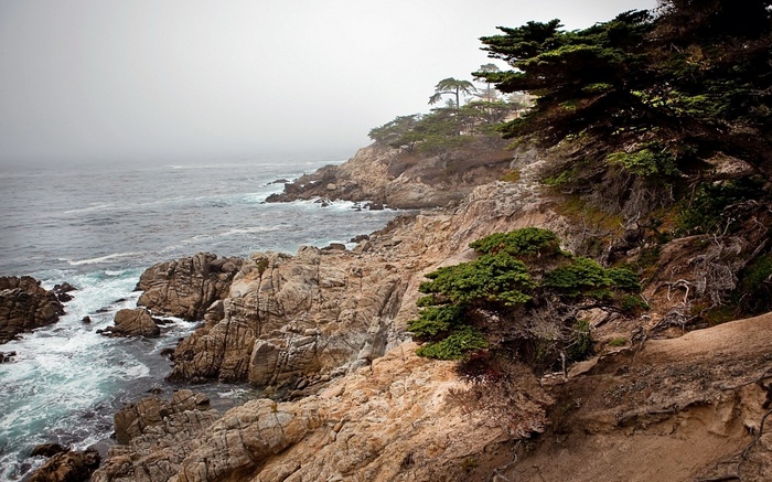 Rocky coastline with cypress trees and ocean