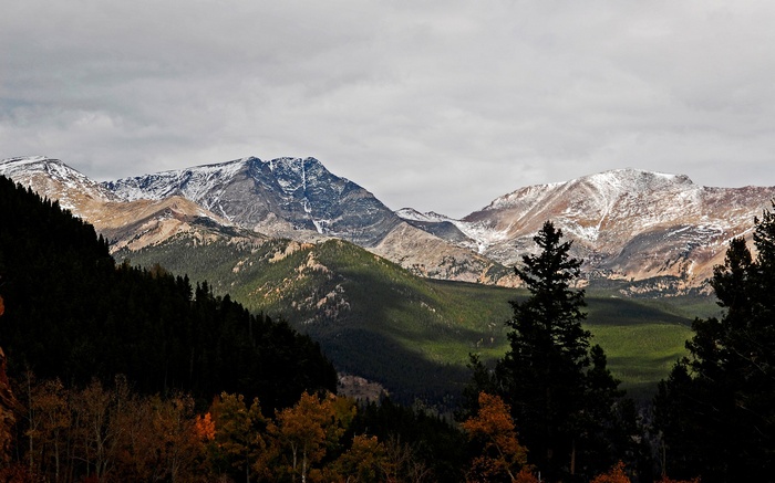 Snow-capped mountains with evergreen forests and autumn trees