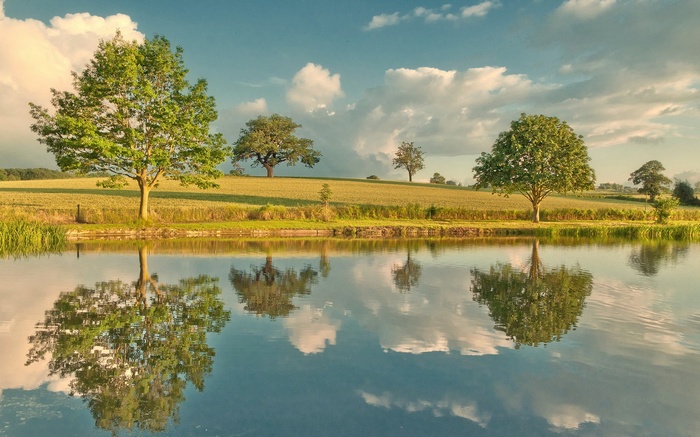 Trees reflected in a calm lake under a cloudy sky