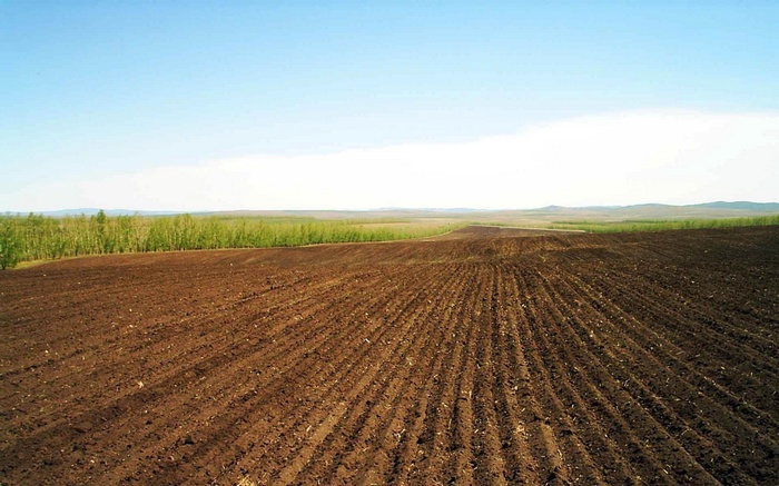 Plowed field with trees and hills under a blue sky