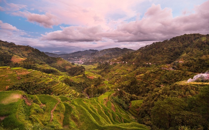 Rice terraces on a mountainside at sunset