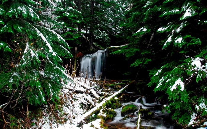 Snowy forest with a waterfall and stream