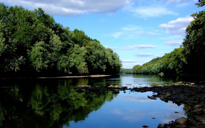 River flowing through a forest with trees and clouds