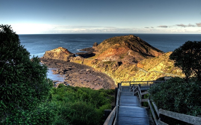 Wooden boardwalk overlooking a rocky coastline and ocean
