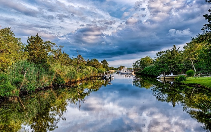 Boats docked in a canal surrounded by trees