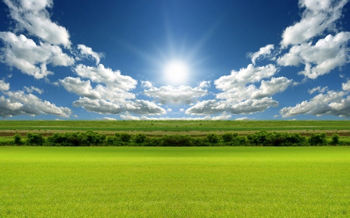 Sunny Sky Over Green Fields