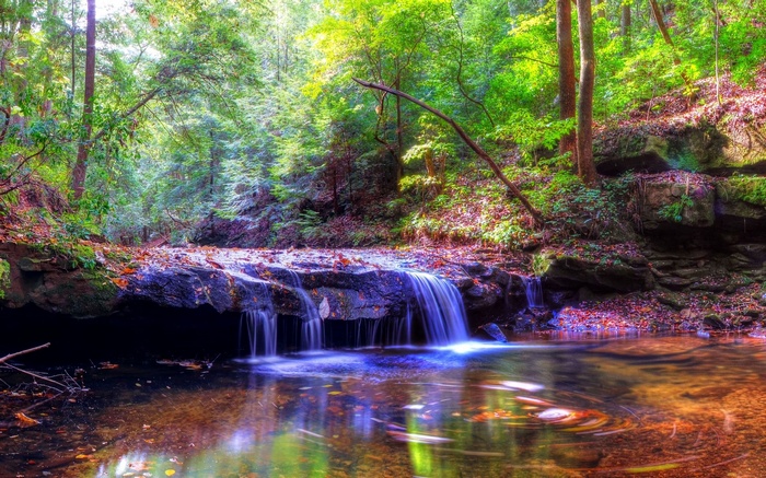 Waterfall in a lush forest with colorful reflections