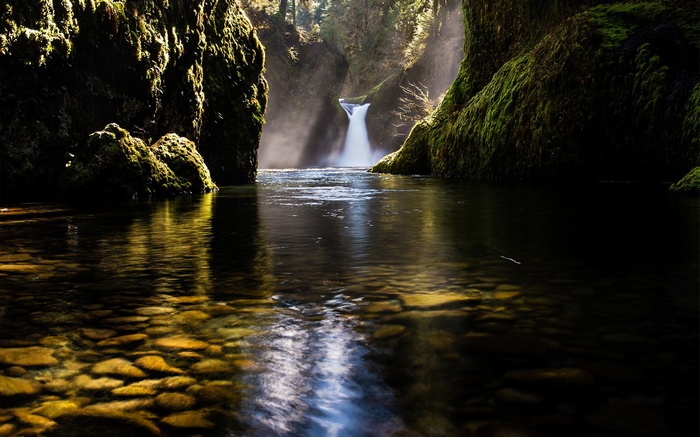 Waterfall in a mossy canyon with a river