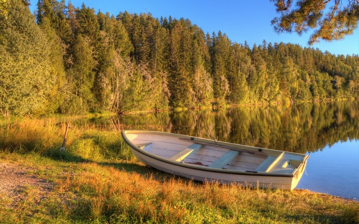 A rowboat rests on the shore of a calm lake with a forest backdrop