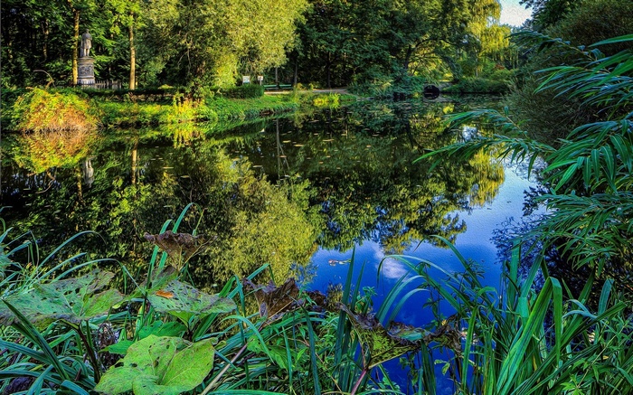 Reflection of trees and statue in a pond