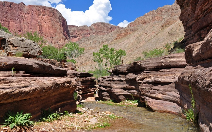 Canyon stream with layered rock formations and distant mountains