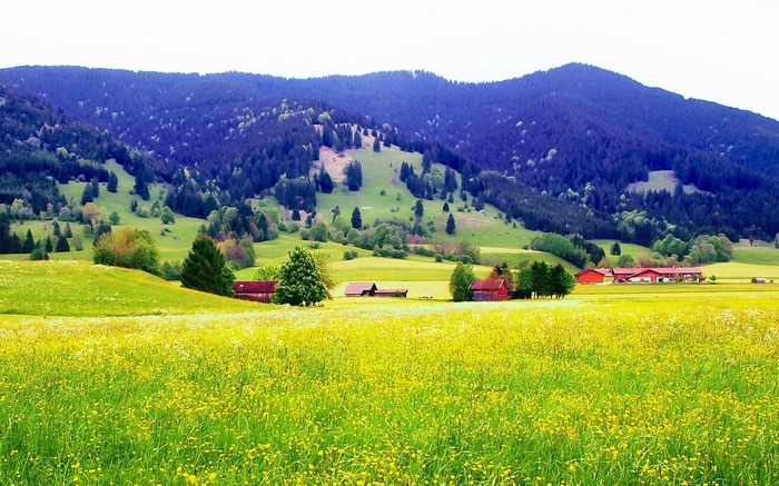 A pastoral landscape with rolling green hills and a forest.