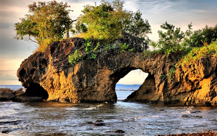Rock arch with trees over the ocean