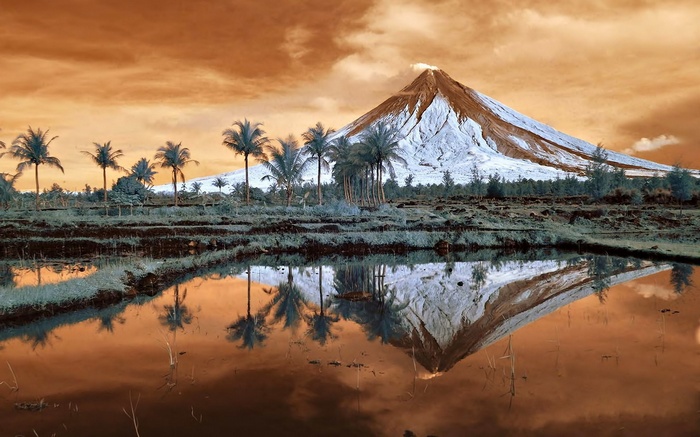 Mayon Volcano reflected in water with palm trees