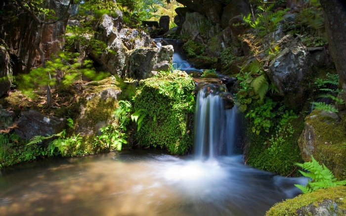 Small waterfall cascading into a pond in a mossy garden