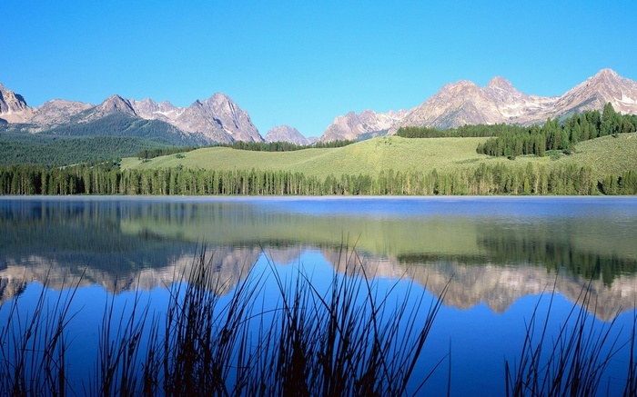 Mountain range reflected in a calm lake with tall grass
