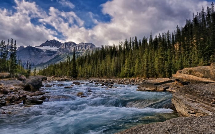 River flowing through a forest with mountains