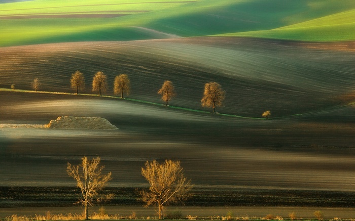Rolling hills with trees and cultivated fields