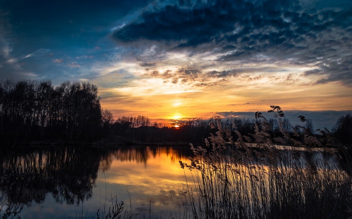 Sunset over a lake with reeds and trees