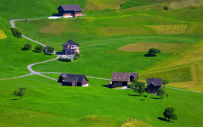 Houses on a green hillside with winding paths