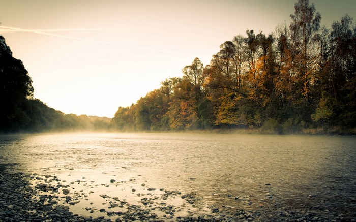 Misty riverbank with autumn trees at sunrise