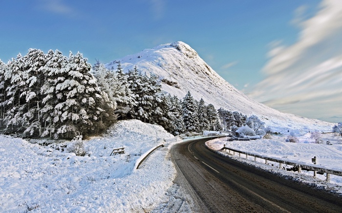 Snow-covered mountain road with pine trees