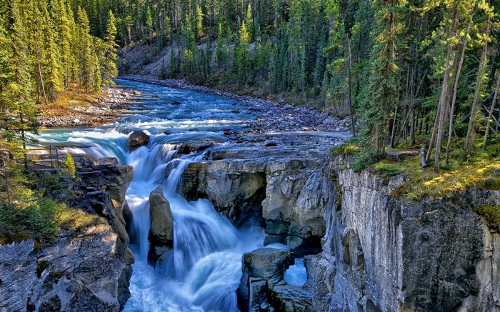 Waterfall flowing through a rocky canyon with pine trees