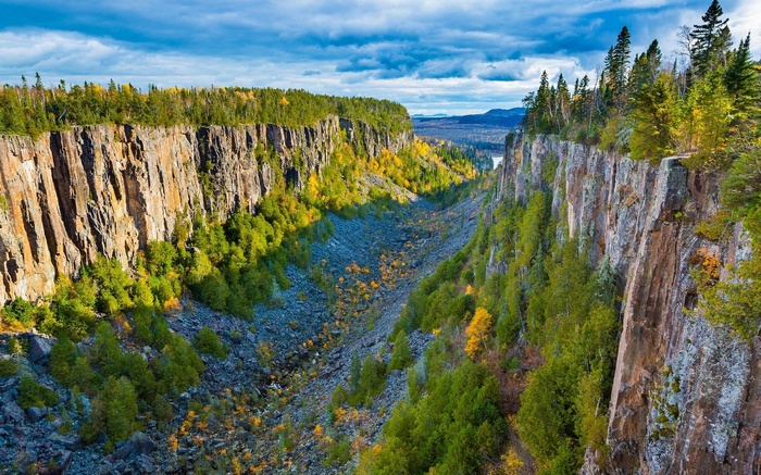 Rugged canyon with trees and rocky floor