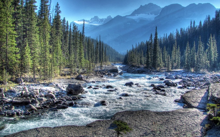 River flowing through a forest valley with mountains