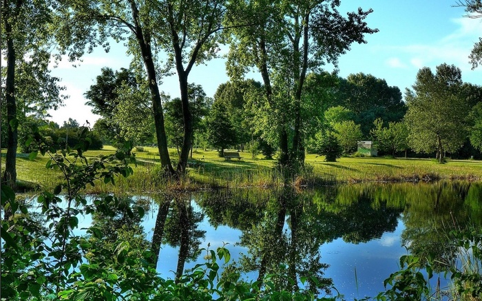 Park with pond and trees