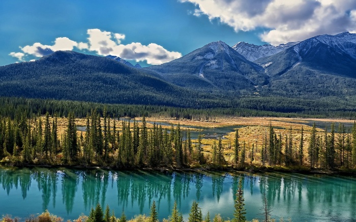 Turquoise river and pine forest with mountains