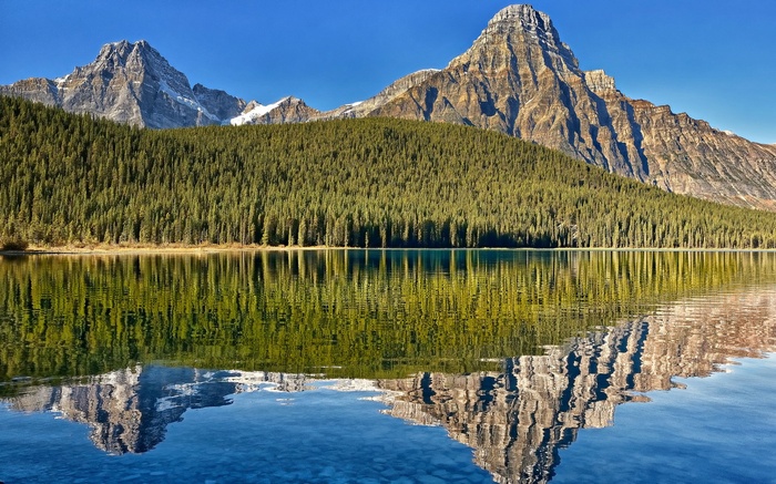 Mountain reflected in a calm lake with pine forest