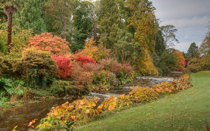 Autumn foliage along a stream with a small waterfall