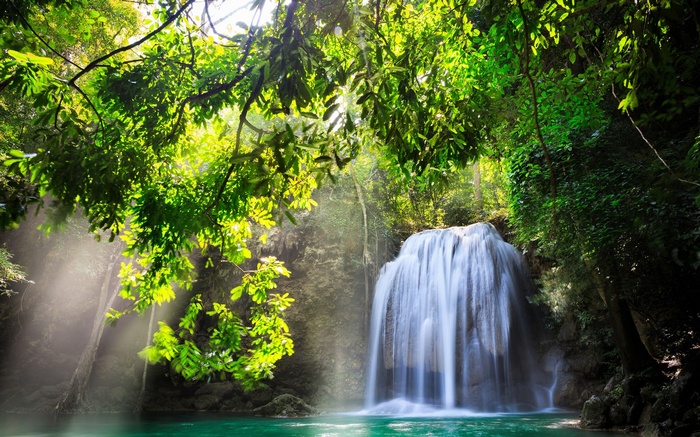 Waterfall in a lush green forest with sunbeams
