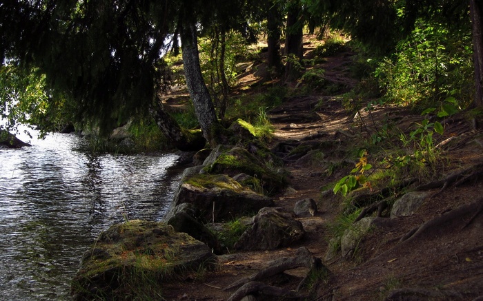 Forest path along a lake with rocks and trees