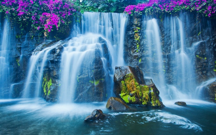 Waterfall with purple flowers and mossy rocks