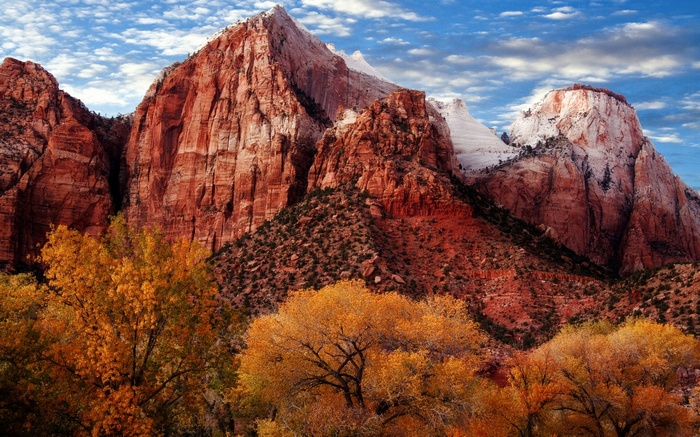 Autumn trees in front of red rock mountains
