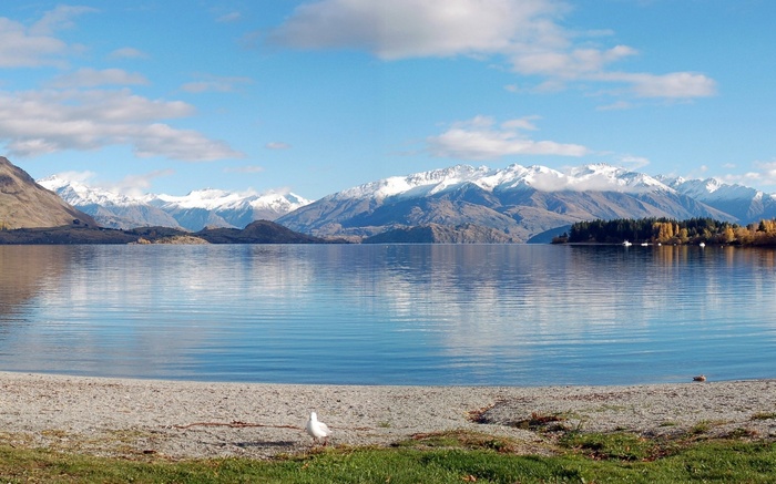 Snow-capped mountains reflected in a calm lake with a bird on the shore
