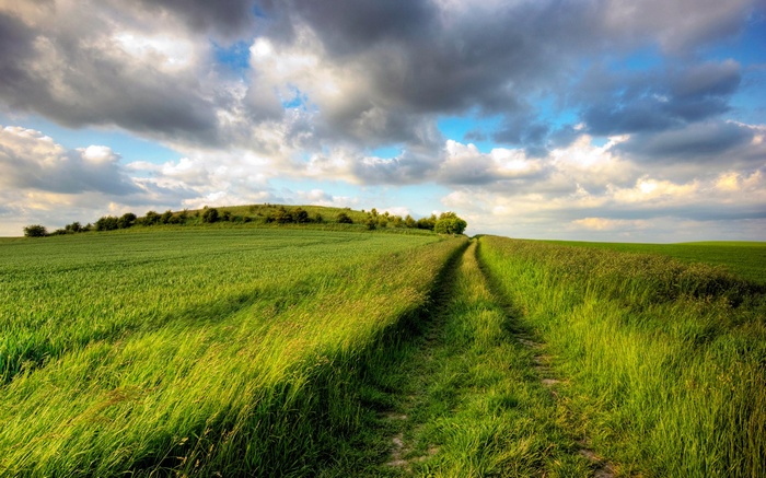A dirt path winds through a grassy field under a cloudy sky.